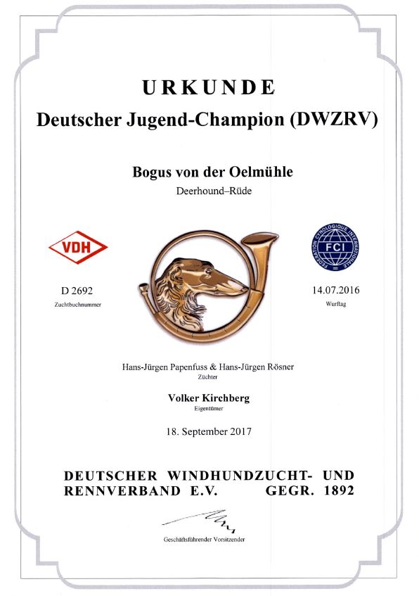 Urkunde Deutscher Jugend-Champion (DWZRV)